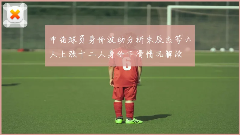 申花球员身价波动分析朱辰杰等六人上涨十二人身价下滑情况解读