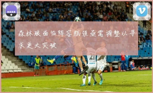 森林狼面临阵容瓶颈亟需调整以寻求更大突破